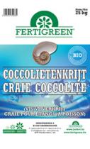 Craie coccolite